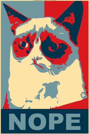 Grumpy Cat for President